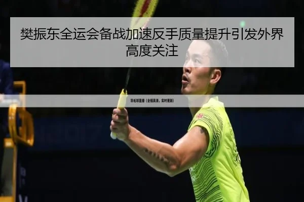 樊振东全运会备战加速反手质量提升引发外界高度关注